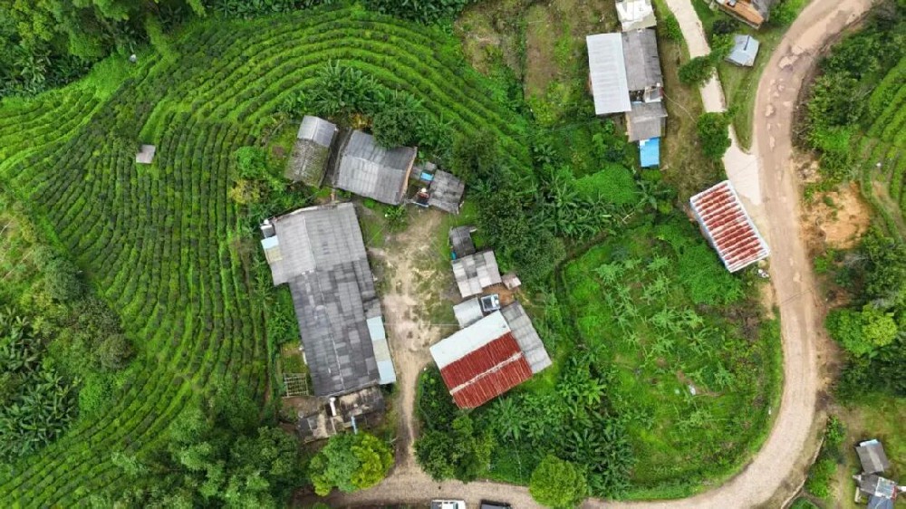 投入950万元，大益“西定乡巴达美丽乡村”建设项目破寒开工！——大益乡村振兴之（十七）