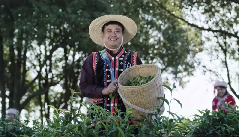 《茶周刊》报道：从“以茶救国”到“乡村振兴”，是谁85年坚守一杯普洱茶！