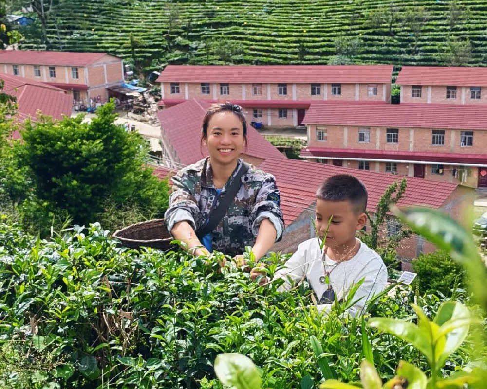 茶山飞出金凤凰：受助学子谭秀秀考研成功，千里返乡谢大益恩情